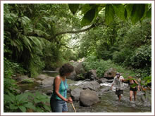 Jungle trekking